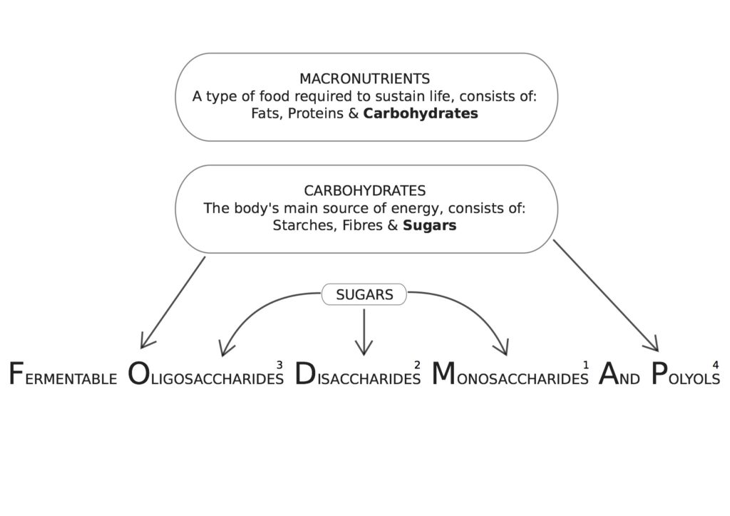 FODMAP-diagram | Tallulahs-treats | Low-FODMAP-diet | Vegan-fodmap