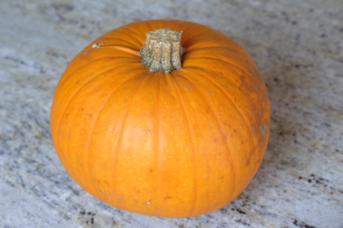 Halloween | pumpkin | low-FODMAP | Vegan | Tallulah's-Treats 